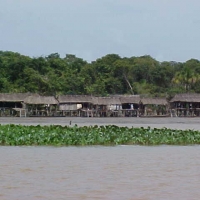 Foto de Delta Amacuro