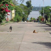 Foto de Delta Amacuro