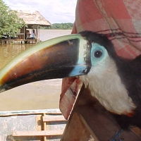 Foto de Delta Amacuro
