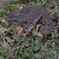 Foto de Cádiz