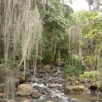 Foto de SAN GIL