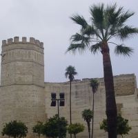 Foto de Jerez de la Frontera
