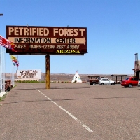 Foto de Petrified Forest