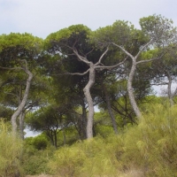 Foto de Puerto de Santa María