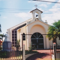 Foto de Palmitos (Concepción Oeste) de Naranjo