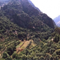 Foto de Qadisha valley