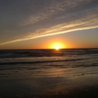 Foto de SAN BERNARDO