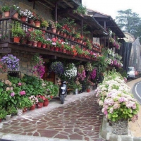 Foto de Villacarriedo