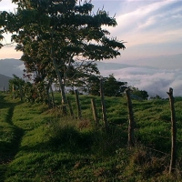 Foto de Edo. Tachira