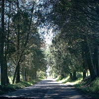 Foto de Edo. Merida