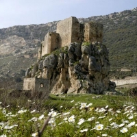 Foto de North coast of Lebanon