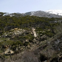 Foto de Chouf