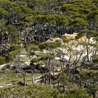Foto de Chouf