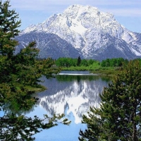 Foto de Parque Nacional de Yellowstone