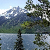 Foto de Parque Nacional de Yellowstone