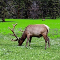 Foto de Wyoming