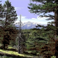 Foto de Yellowstone Parck