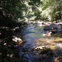 Foto de Barcena Mayor