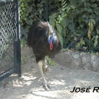 Foto de Jerez  de la Frontera