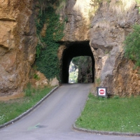 Foto de Cabarceno