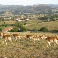 Foto de Cabarceno