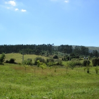 Foto de Carmona