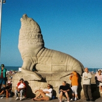 Foto de Mar del Plata