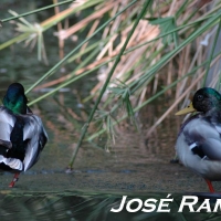 Foto de Jerez de la Frontera