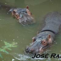 Foto de Jerez de la Frontera