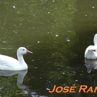 Foto de Jerez de la Frontera
