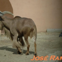 Foto de Jerez de la Frontera