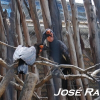 Foto de Jerez  de la Frontera