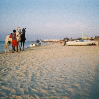 Foto de Monastir-Skanes
