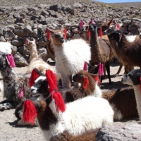 Foto de Arequipa