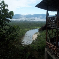 Foto de Amazonia