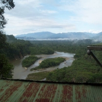 Foto de Amazonia