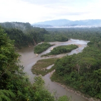 Foto de Amazonia