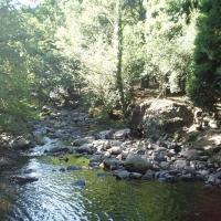 Foto de Parque Natural Saja-Nansa