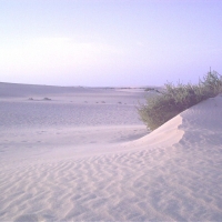 Foto de Fuerteventura