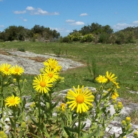 Foto de Minas - Lavalleja