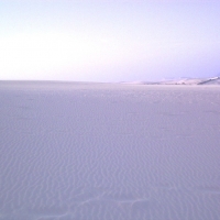 Foto de Fuerteventura