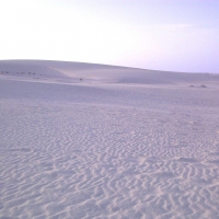 Foto de Fuerteventura