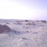 Foto de Fuerteventura