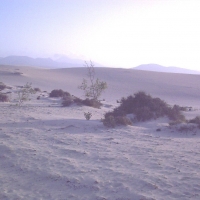 Foto de Fuerteventura