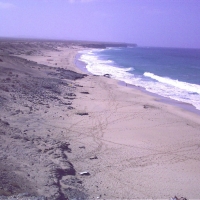 Foto de Fuerteventura
