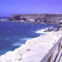 Foto de Fuerteventura