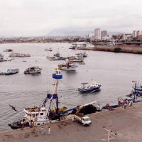 Foto de Manta
