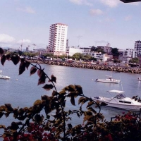 Foto de Manta