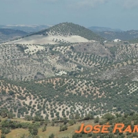 Foto de Olvera