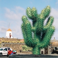 Foto de Lanzarote